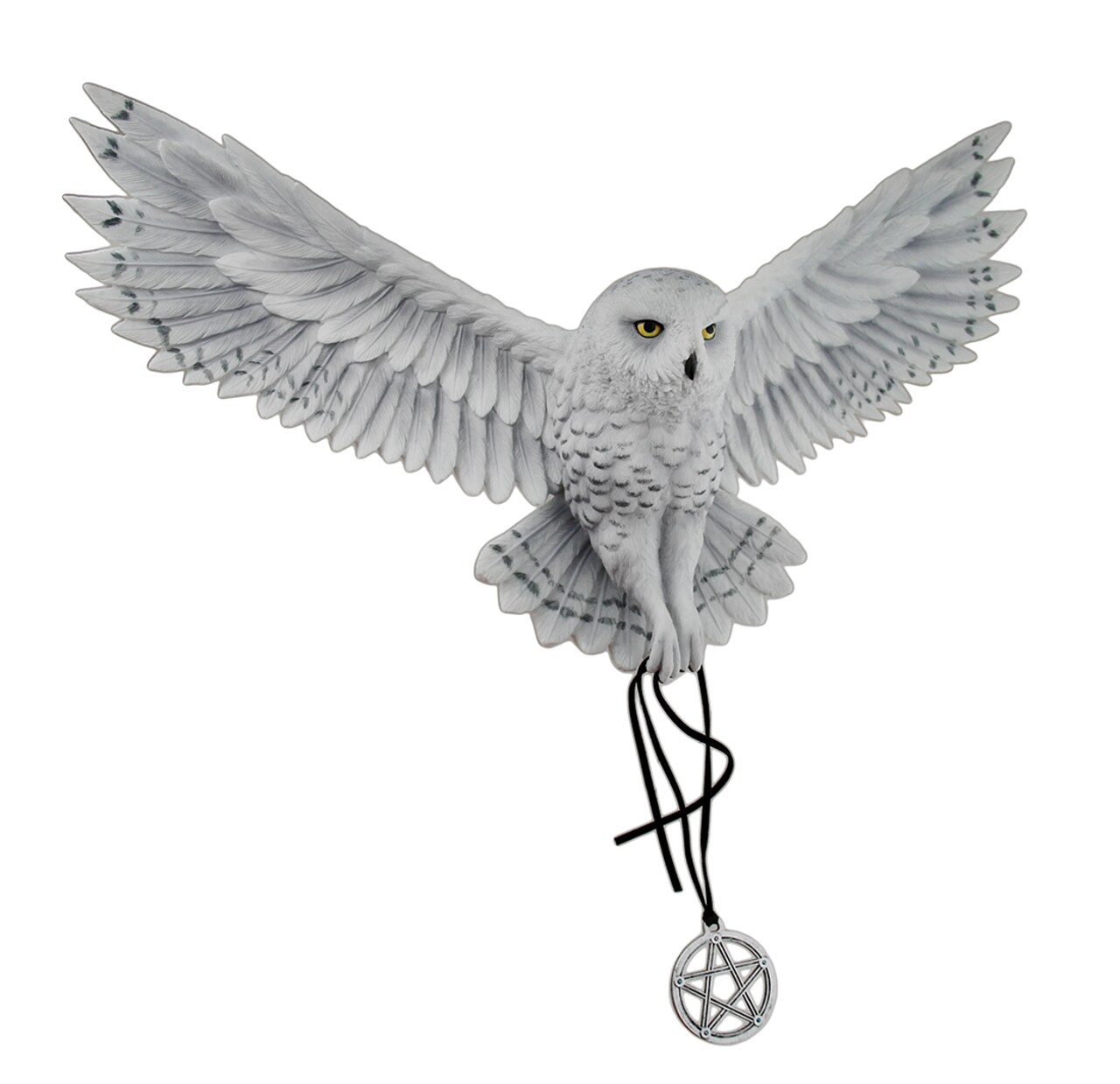 Anne Stokes Awaken Your Magic Snowy Owl with Pentagram Pendant Wall Sculpture